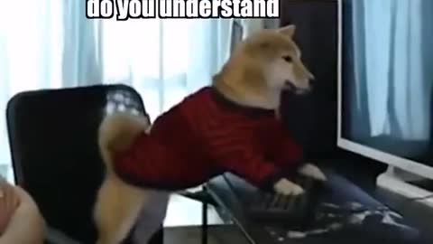 What have you done_