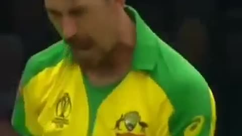 Starc wicket world cup 2019