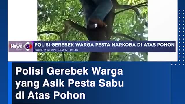 Polisi Gerebek Wargayang Asik Pesta Sabu di Atas Pohon