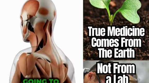 Doctor Confesses The Truth About Medicine!