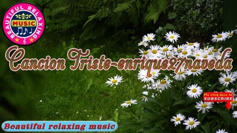 Relaxing Music | Sleeping, Meditation, Stress Relief | [1606] ⭐️