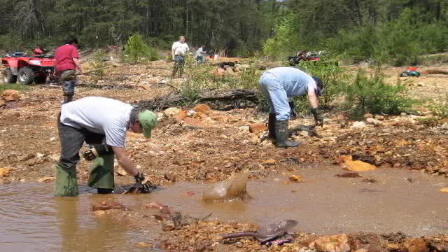 VA Gold On the Creek CCPO May 2008