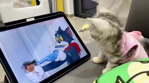 Tom and Jerry in real life