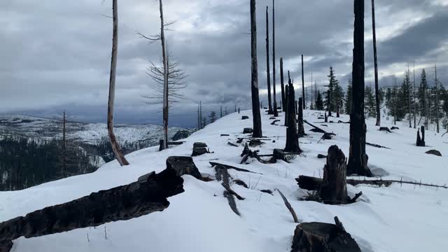 Mountain Views in Every Direction 360 – Potato Hill Sno-Park – Central Oregon – 4K