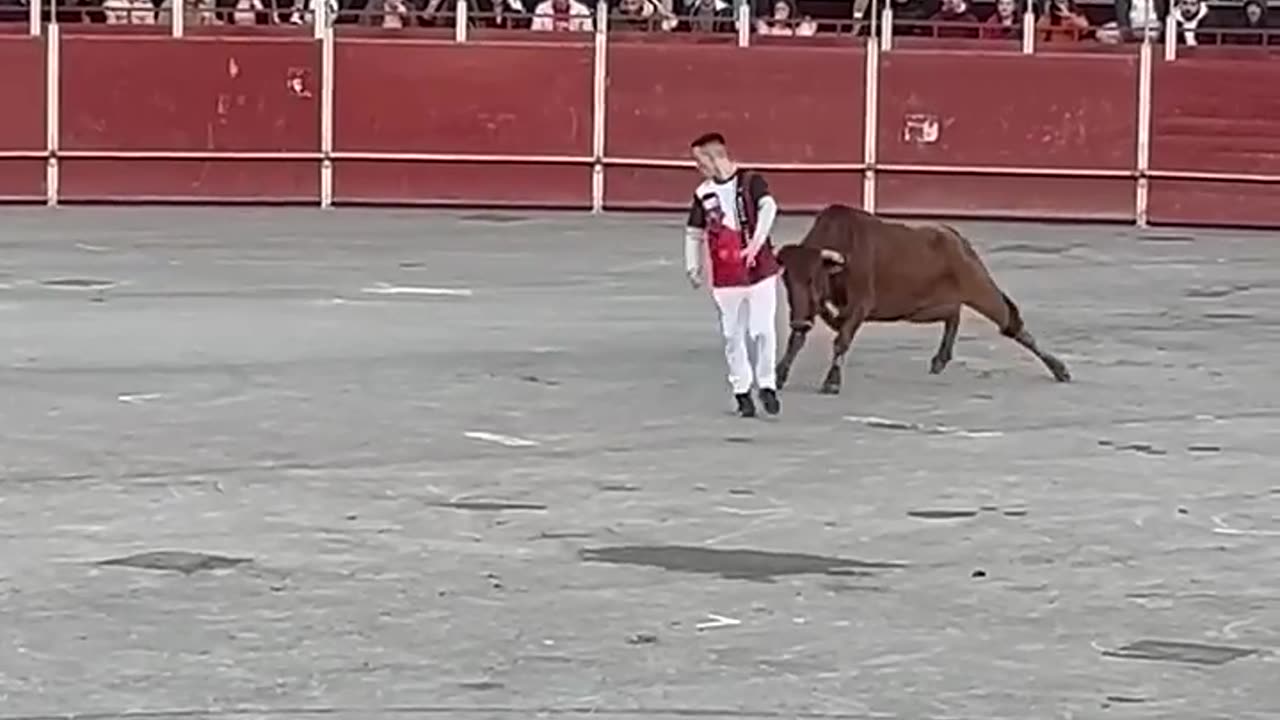 “BALILLA” haciendo de las suyas en la Vall d’Uixo 2024