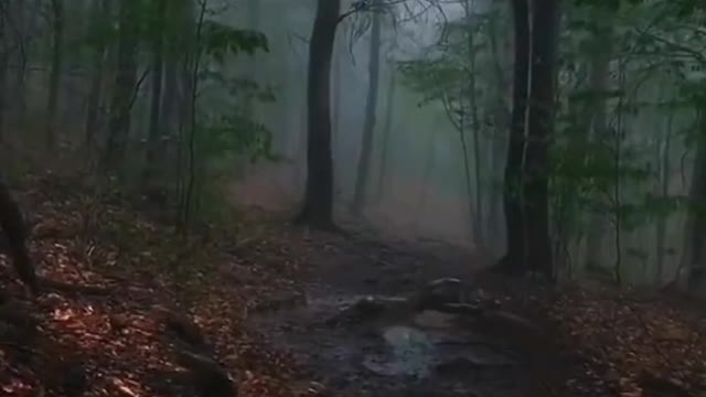 Thank you for standing behind me