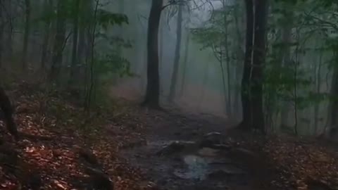 Thank you for standing behind me