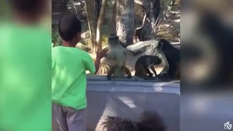 Nooo cat play