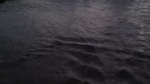 Punjab Flood 2023