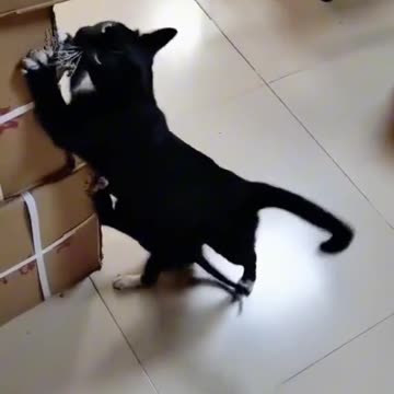 Like father like son 🤣😂🤣