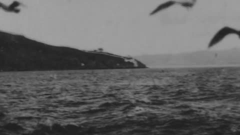 Feeding Sea Gulls In San Francisco Bay (1898 Original Black & White Film)