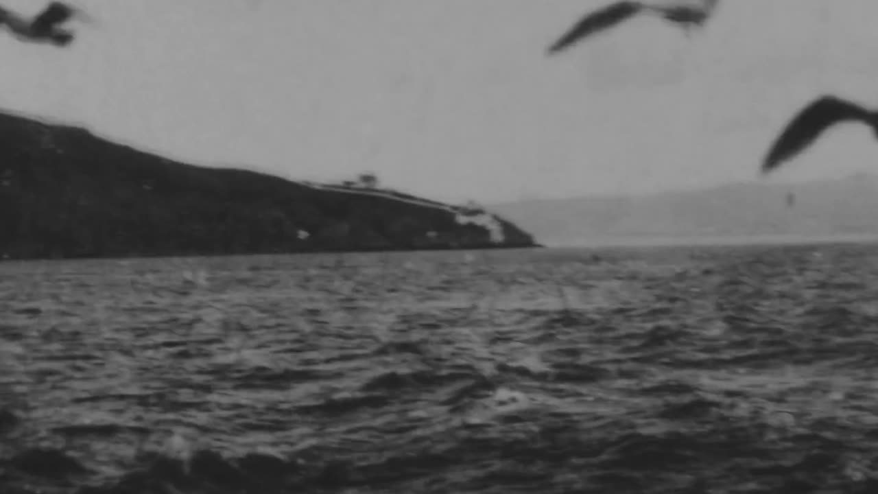 Feeding Sea Gulls In San Francisco Bay (1898 Original Black & White Film)