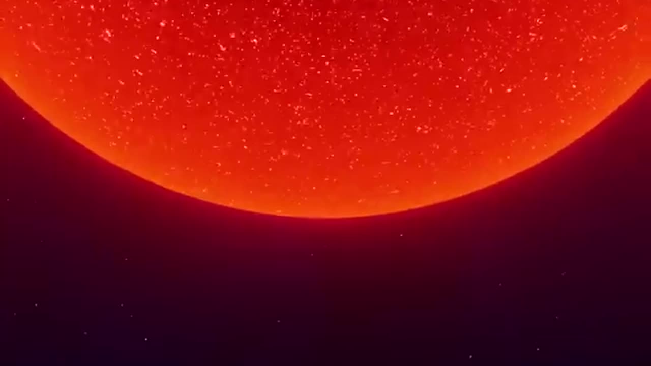 Sun vs Largest Star