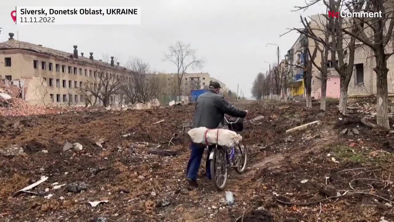 Watch: war-weary Ukrainians chop wood in order to 'survive' winter