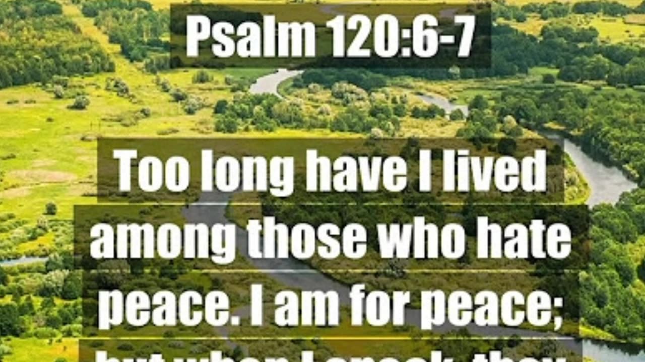 Morning Prayer of Peace #youtubeshorts #grace #jesus #mercy #faith #fyp #blessed #love #trust #joy