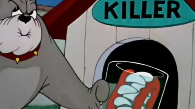 Tom and Jerry full episodes 🤣🤣🤣
