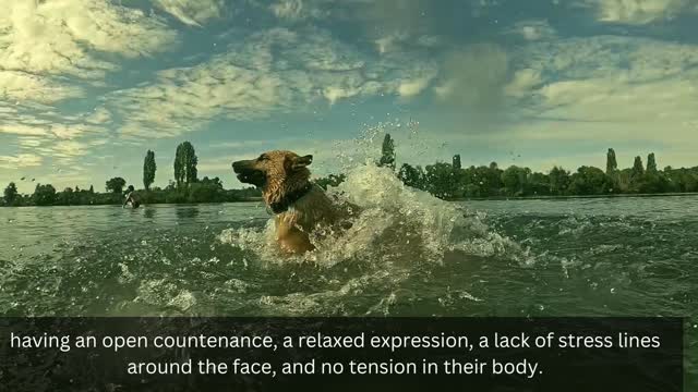 relaxed expression, a lack of stress lines around the face, and no tension in their body.
