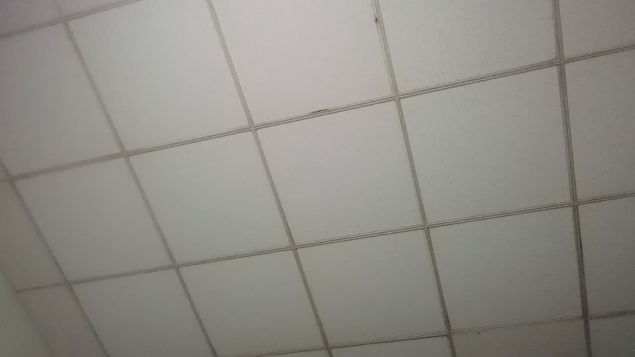 Drunk 8