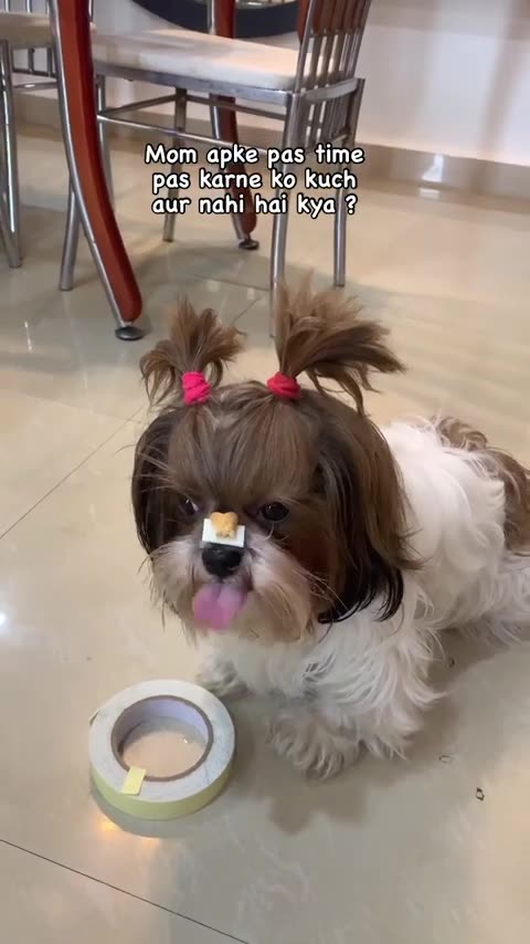 Lymphatic System Support Supplements Boost Your Health with Natural Detox & Immune Support BUY NOW