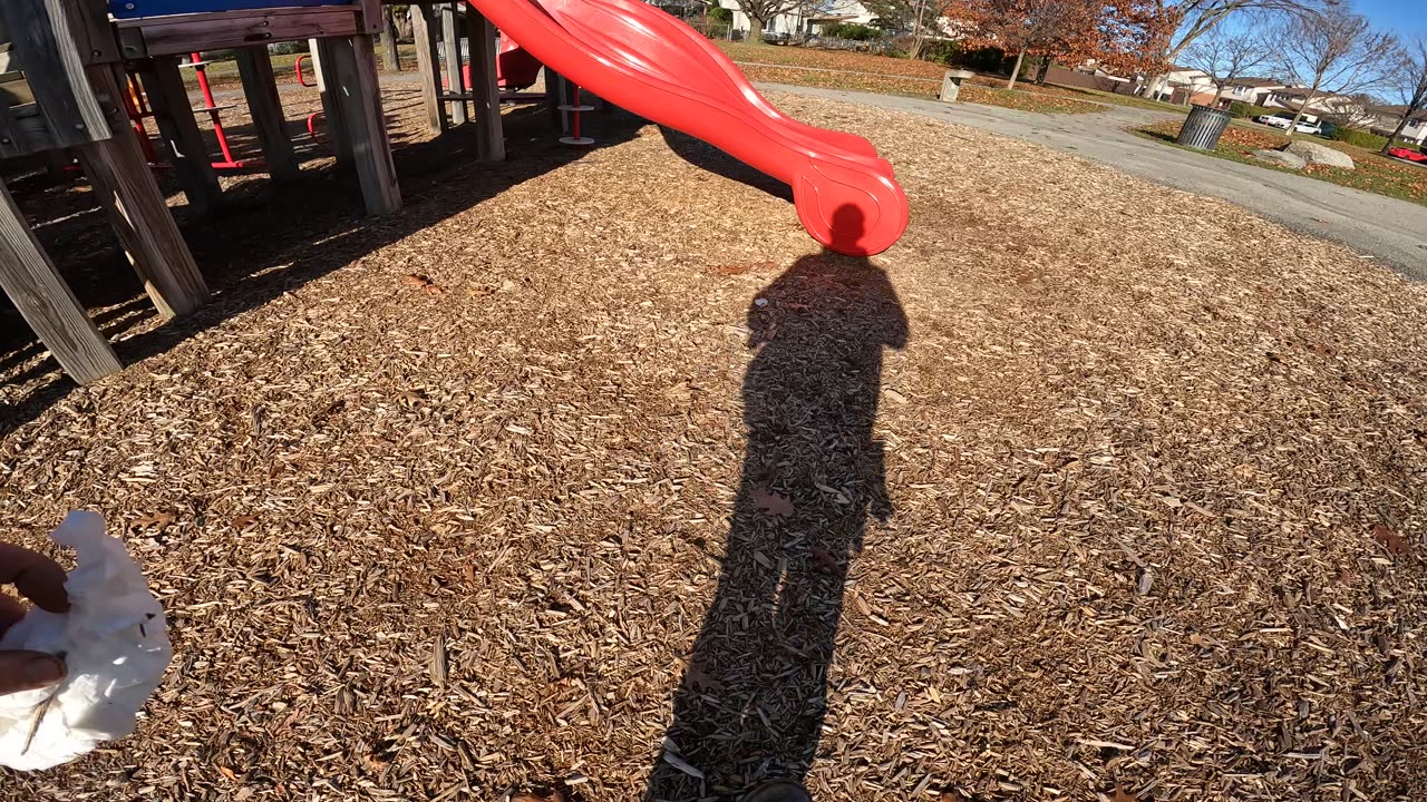 🚮 Cleaning Up Liter @ Meadowbrook Park In Ottawa 🍁 Canada 🍂 Fall Edition 🍃🌿