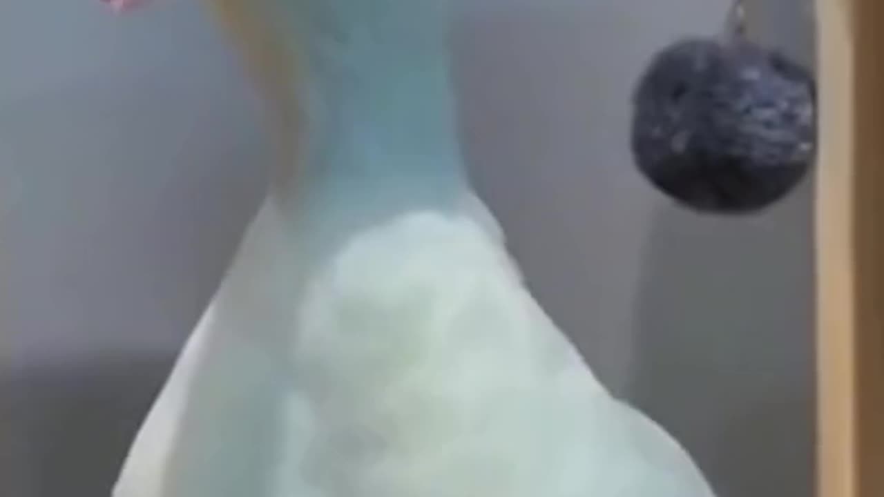 Funny video 📷
