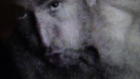 177. Shapeshifting- Demons Or Video Error Part 3