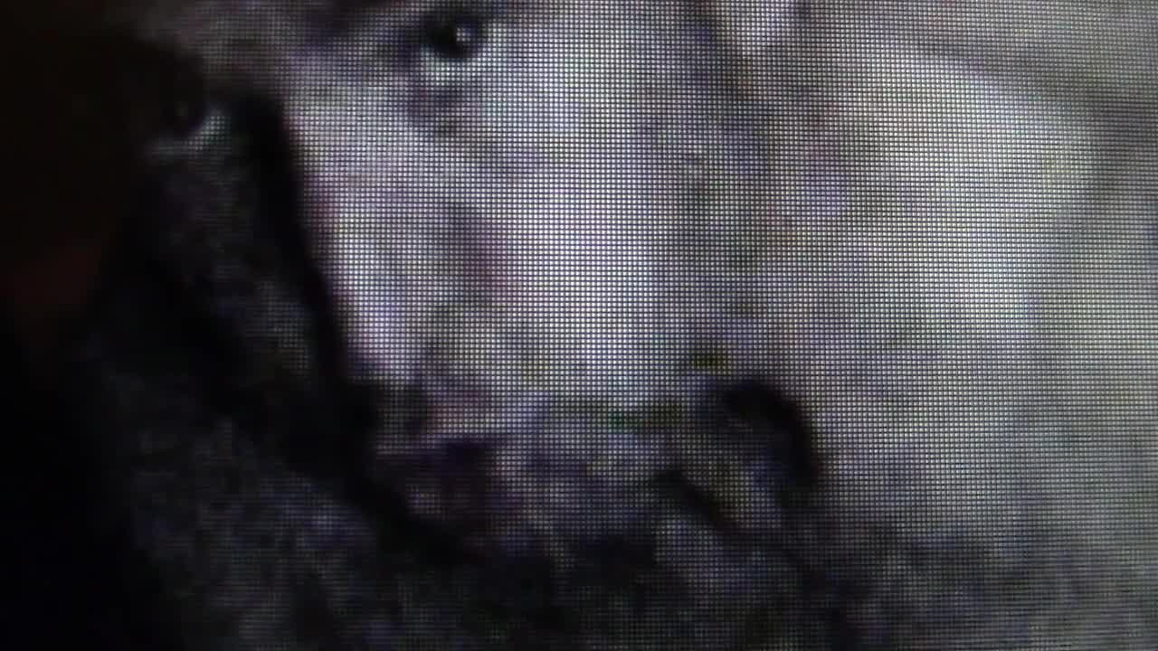 177. Shapeshifting- Demons Or Video Error Part 3