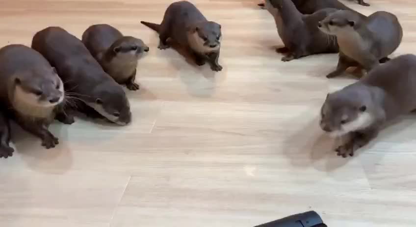 OMG