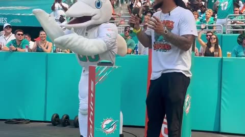 Miami Fins Home