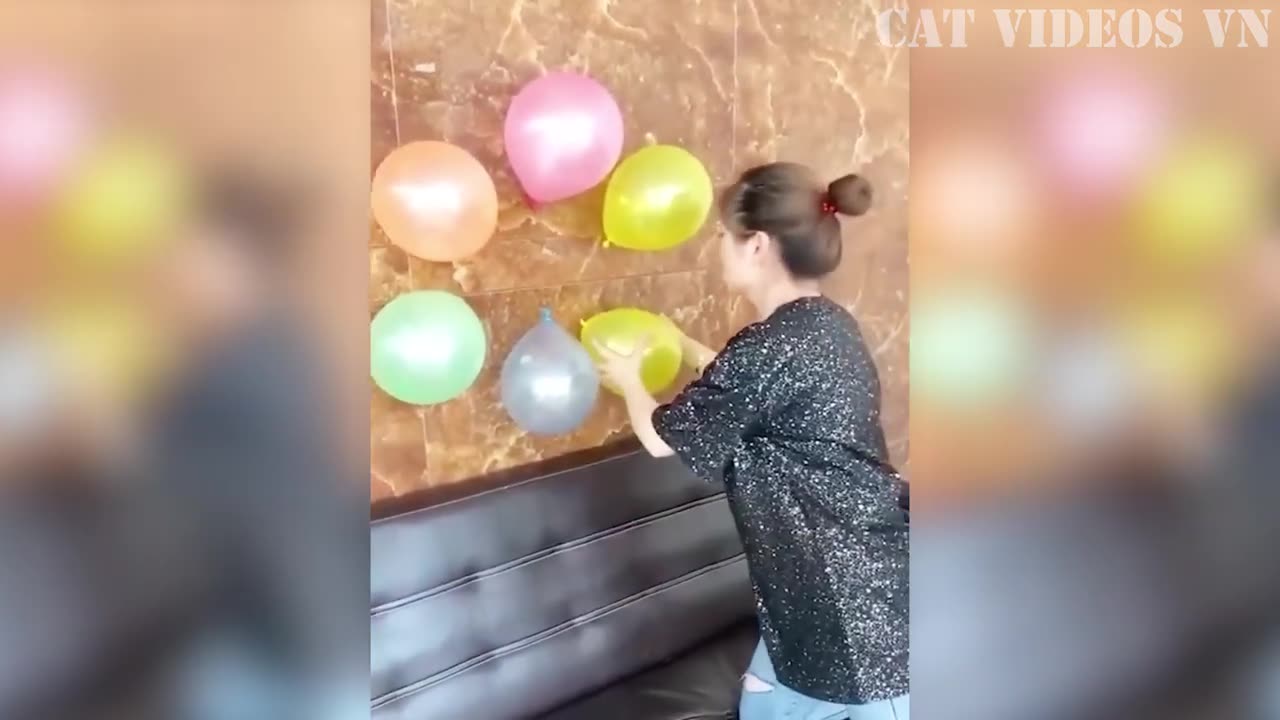 Funniest cats and dogs compilation/best Funniest videos 2023/ TRY NOT TO LAUGH part 8