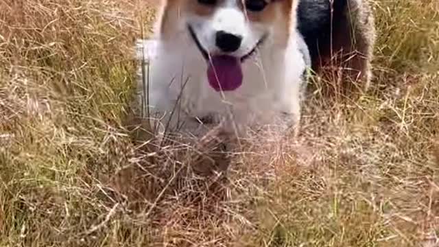☀️☀️☀️