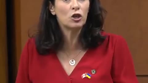 Canadian MP Heather McPherson says the country's