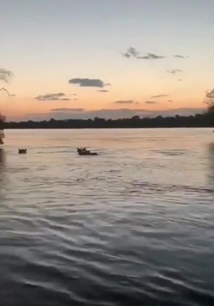 When a behemoth wants to say something important