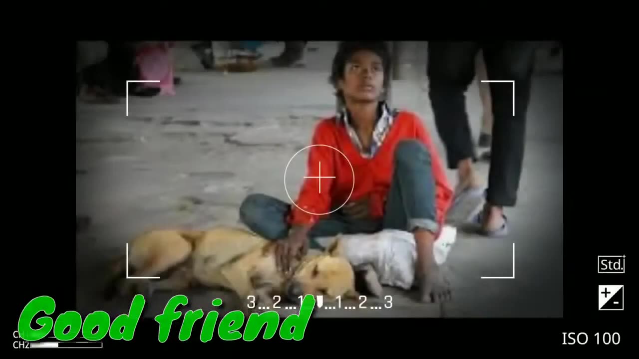 #Street dog # Killing not a solution !!! #Exclusive video#