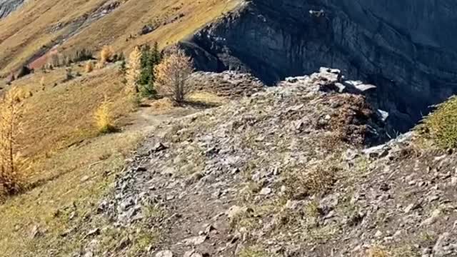 Rawson lake and Sarrail ridge🇨🇦