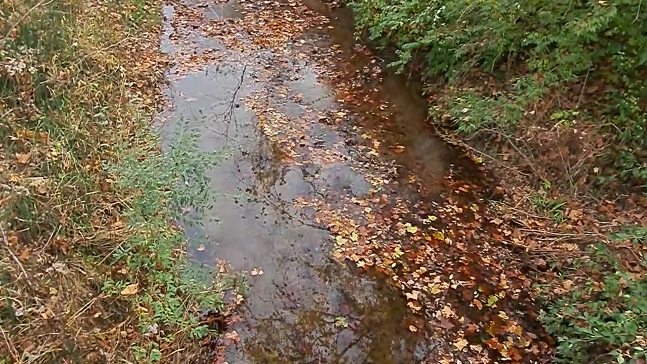 Harvest Time in Ohio and a beautiful little stream, God bless America