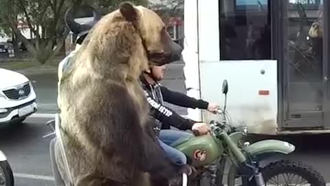 A bike rideing a bear 🐻