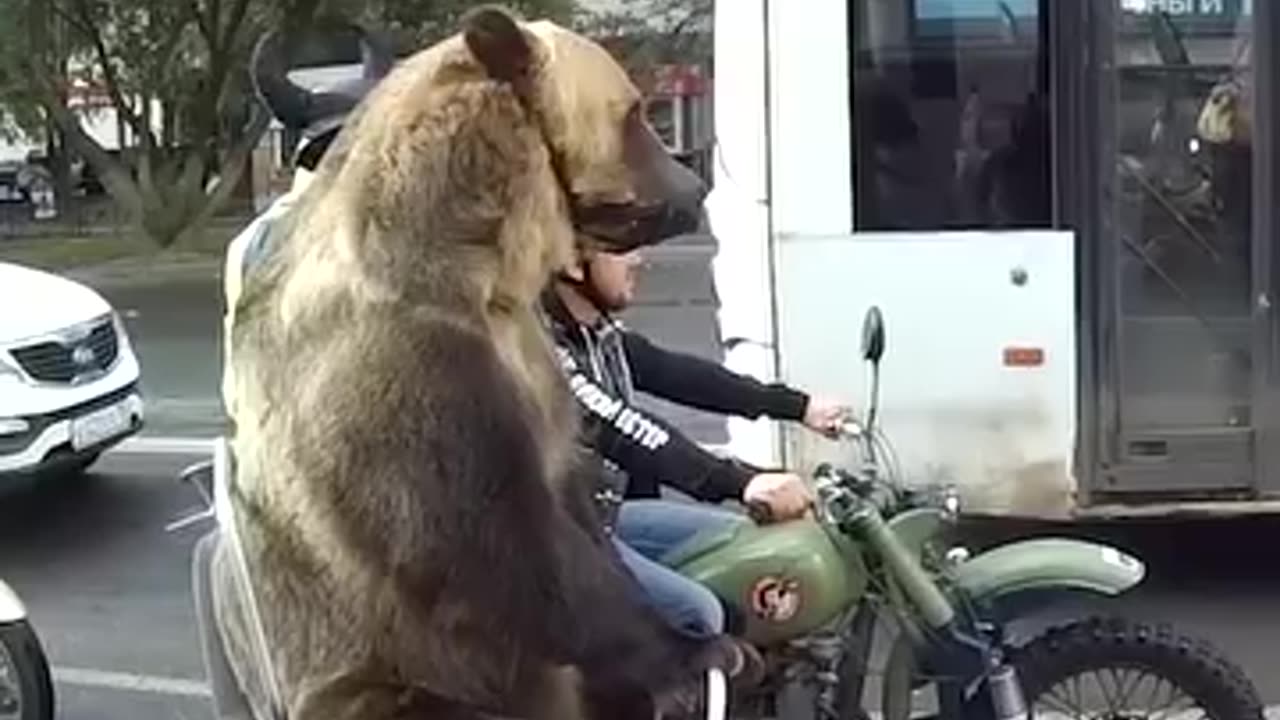 A bike rideing a bear 🐻