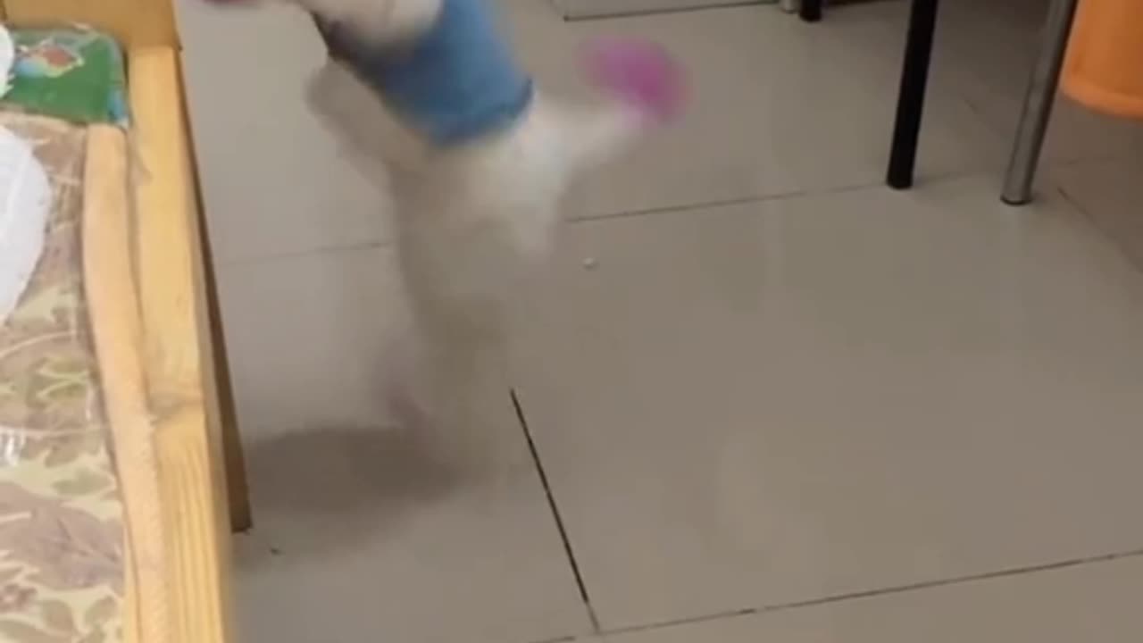 Cute baby and dog