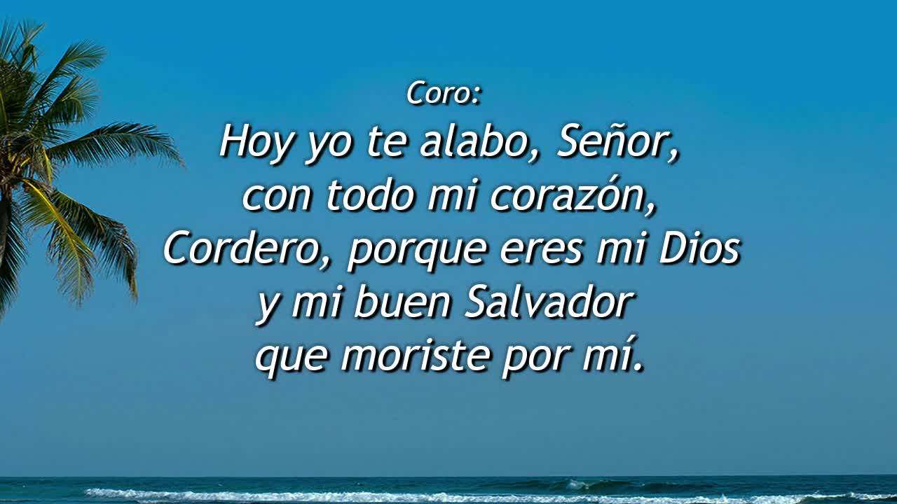 232 - Cordero
