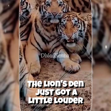 These fierce felines may sound like housecats, but don't be fooled! 🦁🐾