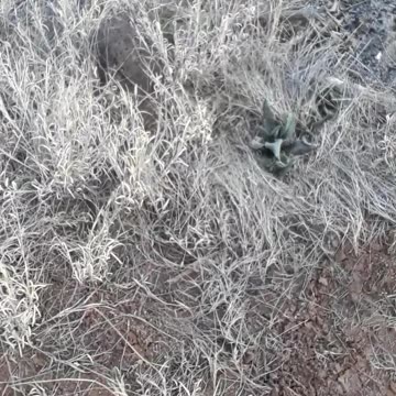 Sedona, Arizona and God's creation ON FULL DISPLAY. 2/17/23