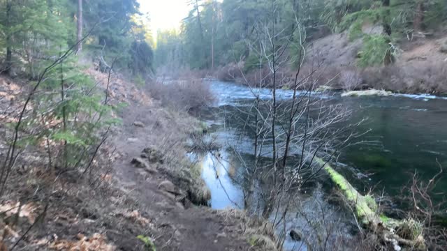 Be Bear Aware When Being a Lone Intrepid Hiker – Metolius River – Central Oregon – 4K