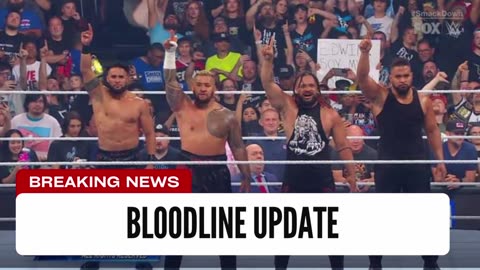 Update On More Bloodline Members Joining WWE