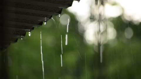 Rain Sounds with Tibetan Singing Bowls and Birds chirping