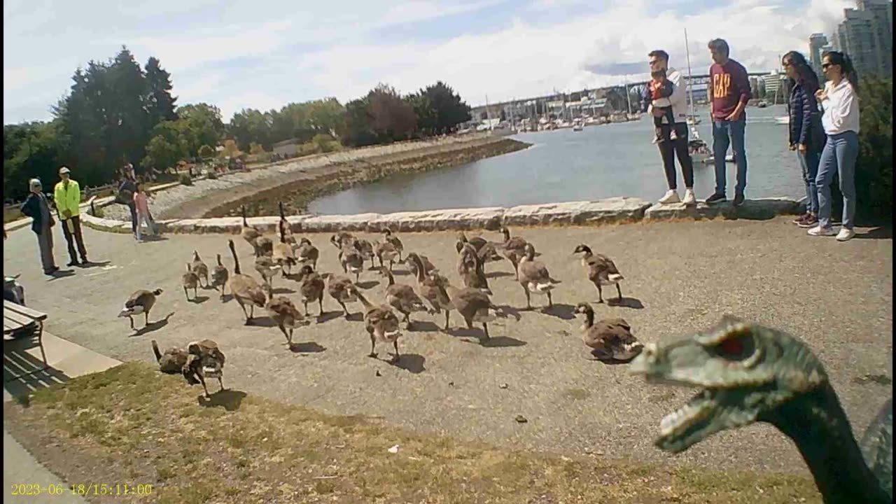 Scooter(38) South side of Marina with my music choices. (1080p60fps) (15:29) June 18, 2023