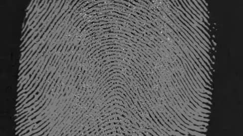 Why are people's fingerprints different?