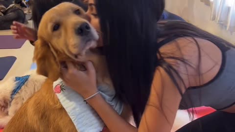 how to train a dog 🐕 | pet dog 🐶 | crate training 🤔