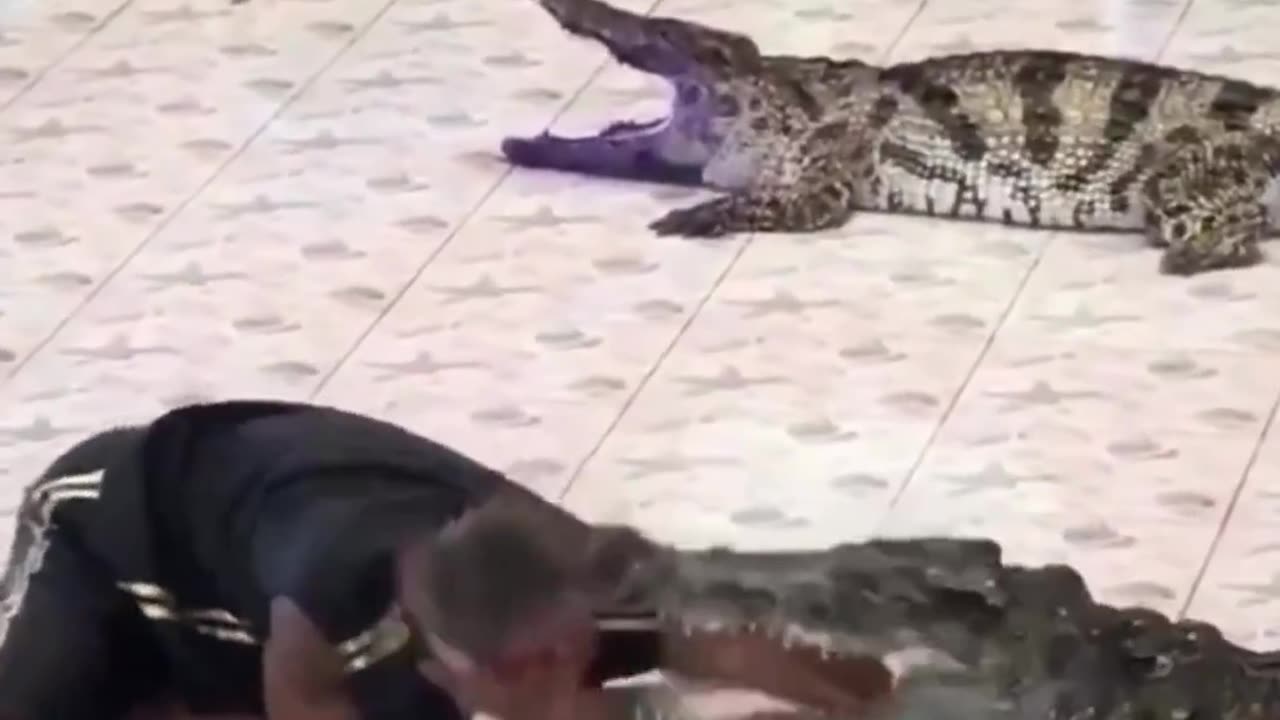 Crocodile Game