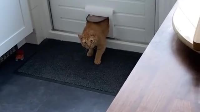 Whenyoureinthewronghome
